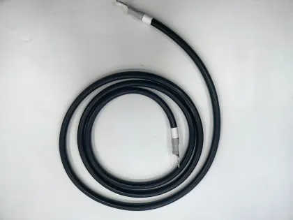 Custom Black Thick Charging Pile Wiring Harness