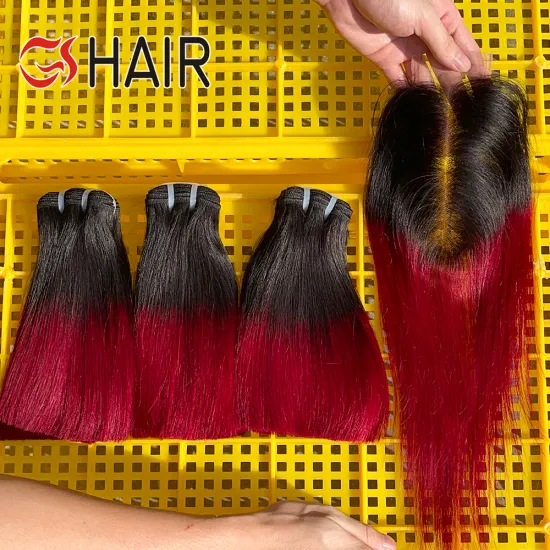 Best Quality Raw Vietnamese Human Hair Wig with Ombre 1B/99J Weft Extensions and Closure for Black Women