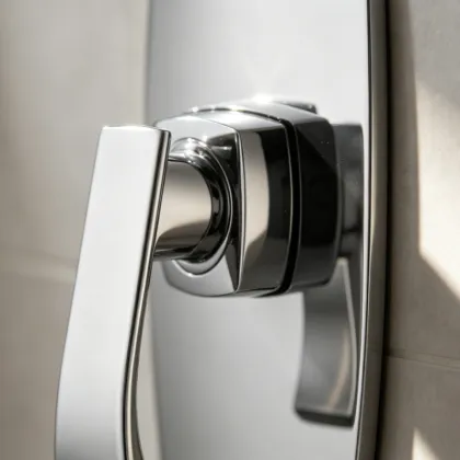 Shower Valve