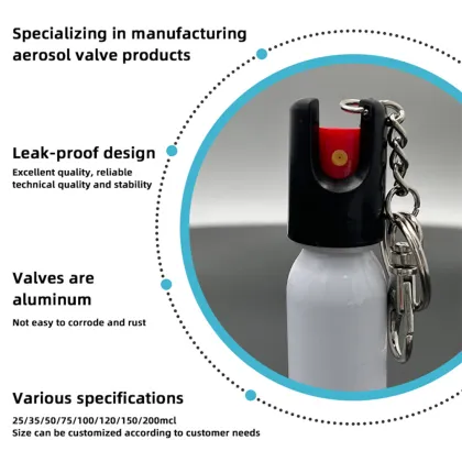 Hot Sale Factory: Customized Wholesale Spray Aerosol Valves