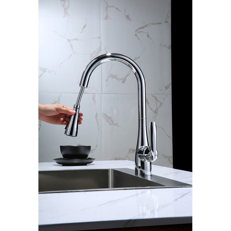 Dual Functions Chrome Pull Out Kitchen Faucet
