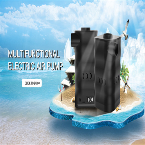 NEWO Electric Air Pump