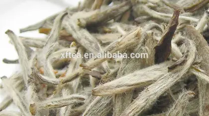 high quality jasmine tea/best jasmine tea/jasmine tea prices