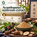 Extracto de Acanthopanax senticosus con eleuterósido E y polisacáridos