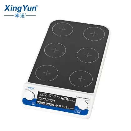 Xingyun High Quality Magnetic Stirrer with Heating Plate for Labs