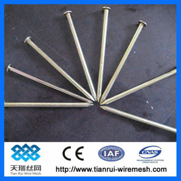 G.L. Iron Nails (factory)