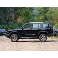 热卖罐300深灰色4WD SUV