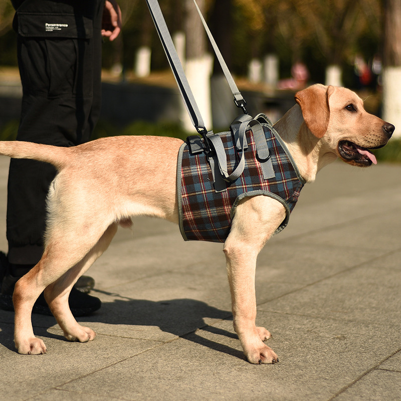 Dog Auxiliary Belt For Recovery Disability