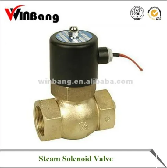 Steam Solenoid Valve Model:WB-2S-15