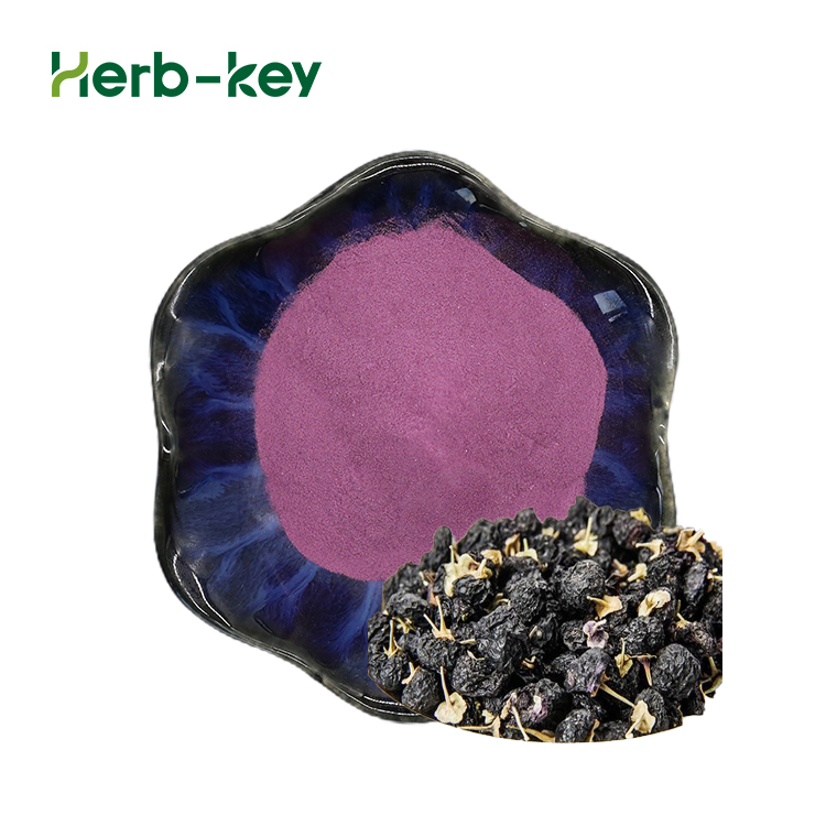 Pure Natural Black Wolfberry Extract Anthocyanidin 5%-25%