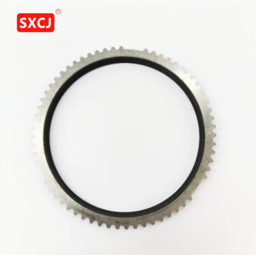 Customization Heavy Truck Gearbox Steel Synchronizer Ring OEM for ZF (1307 304 644/1306 304 085/1307 304 589)