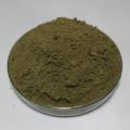 Succo di grana di grano saraceno biologico in polvere verde
