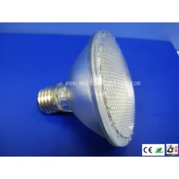 LED PAR30 Spot Light