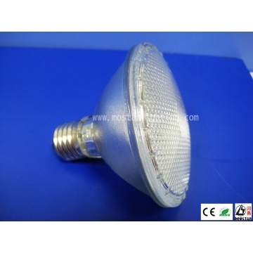 LED PAR30 Spot Light