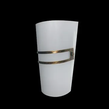 Frosted glass wall light fixture