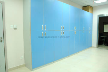 Wood Locker for Laboratory, Lab Furniture, Data Cabinet