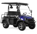 4 Seater Electric Golf Cart UTV
