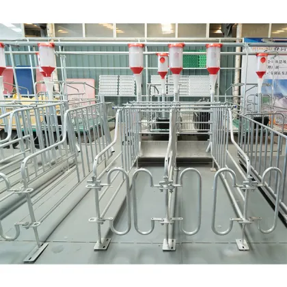 Hot Dip Galvanized Pig Gestation Stalls for Hog Farms