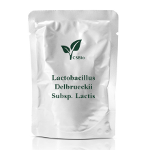 Probiotics Powder of Lactobacillus delbrueckii subsp. Lactis