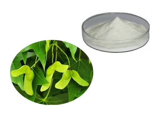 nervonic acid1