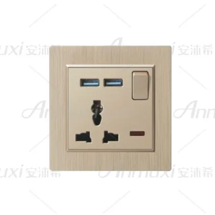 220V USB Wall Socket