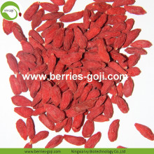 Fábrica de abastecimento de frutas Embalagem Bulk Goji Berry