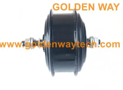 golden way motors for electric bike, electric bike motors