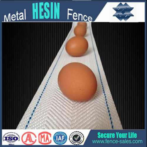 Standard Width 100mm,China High Caprice Polypropylene Egg Woven Conveyor Belt