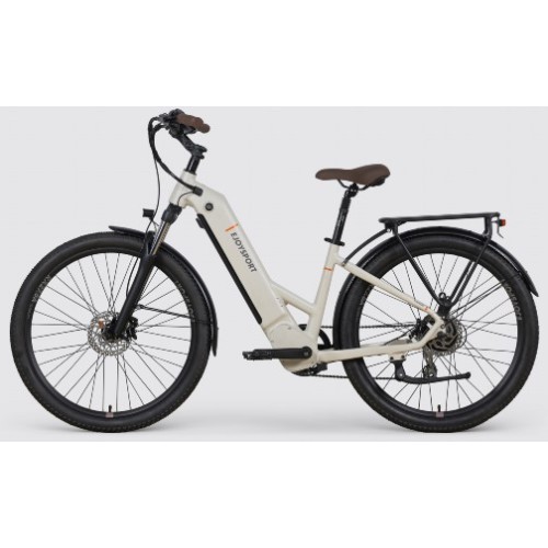 Lithium -Batterie -Pedal -Assistentfahrrad