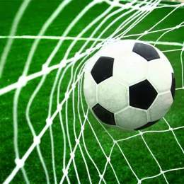 Heavy-duty Polyethylene Soccer Goal Netting