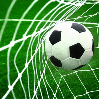 Heavy-duty Polyethylene Soccer Goal Netting