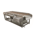 Brush Washer Food processing machine