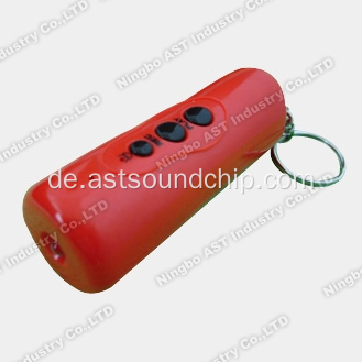 Voice Key Chain, Schlüsselanhänger, Schlüsselanhänger, musikalische Schlüsselbund