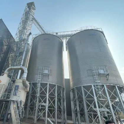 Steel 1000 Ton Grain Silo Prices Wheat Storage Grain Silo Cost Price Silos for Cereal