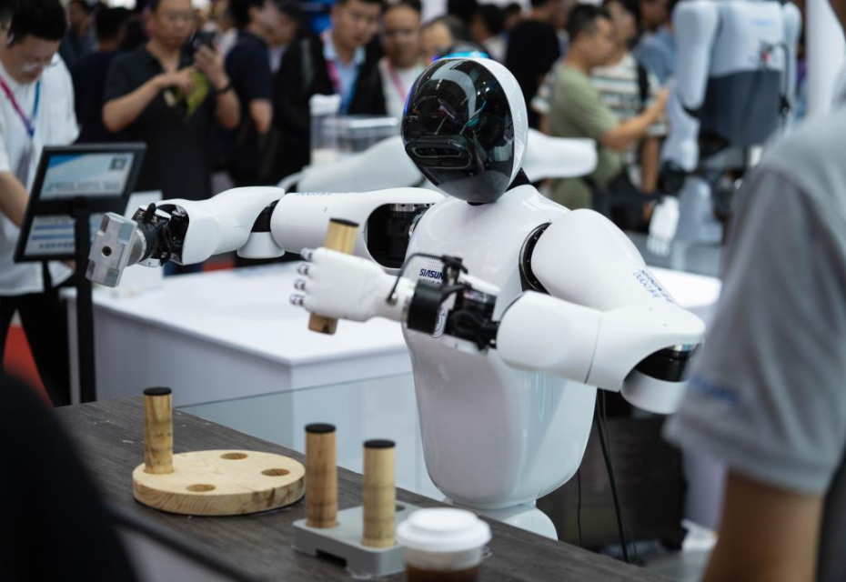 High-End Humanoid Robots