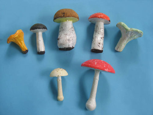 Edible and Poisonous Mushrooms