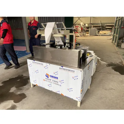 Mintai Hygienic Towel Making Machines and Conveying Systems