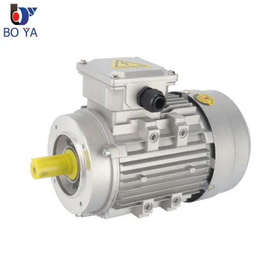 YS/Y2 Series 1.1kW 2828rpm Aluminum Shell Three-phase Speed Control AC Motor
