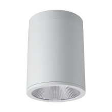 White Surface Mounted Downlight High Corrosion Resistant