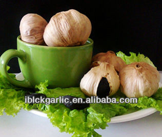 organic Black Garlic Preventing and Curing the Cancer