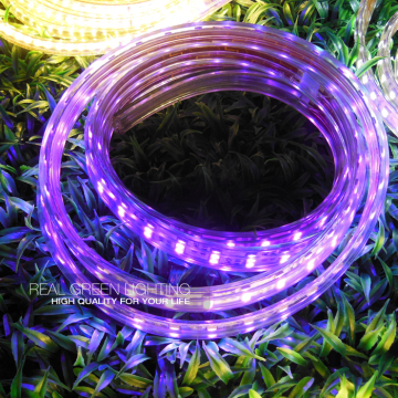 Waterproof 220V IP65 Purple Double Row flexible LED Strip Light
