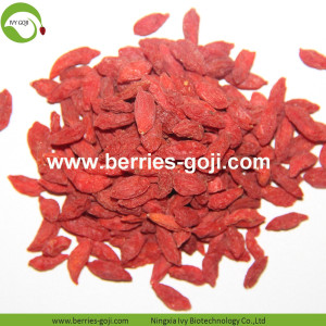 공장 공급 과일 비 GMO 건조 Goji Berry