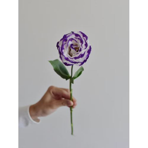 বিবাহের জন্য পাইকারি বেগুনি-ধারযুক্ত Lisianthus