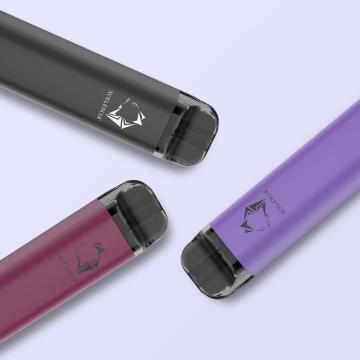 Gunnpod 2000 puffs disposable Grape vape juice