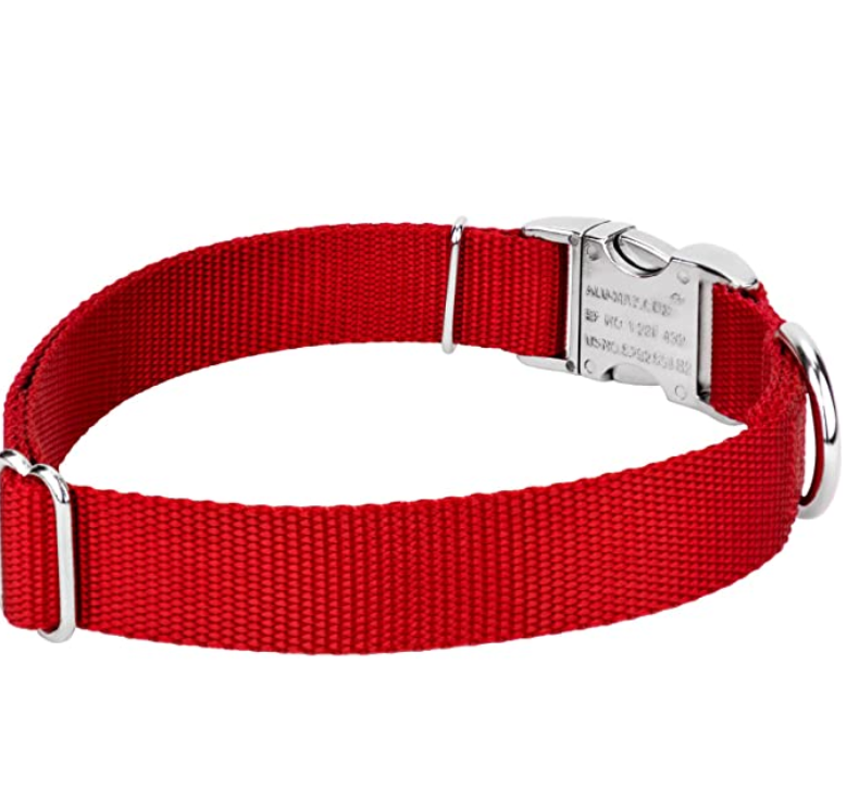 Male Dog Collars