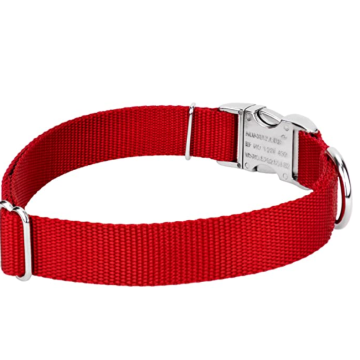 Collier de chien de nylon premium avec boucle en métal