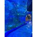 Transparent underwater acrylic glass tunnel aquarium