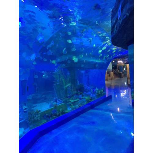Туннель с большим плексигласом/аквариум -аквариум -аквариум
