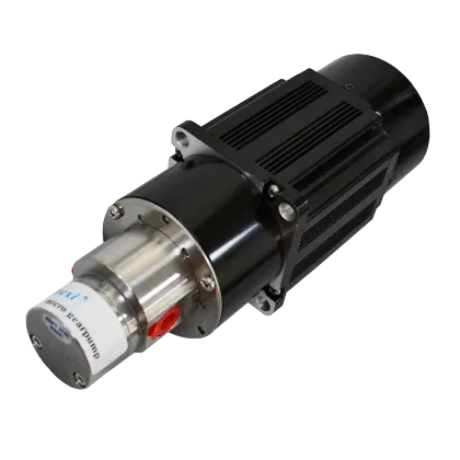 brushless drive magnetic Gear Pump