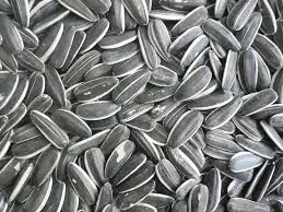 bulk organic sunflower seeds confectionery sunflower seeds home use sunflower seeds